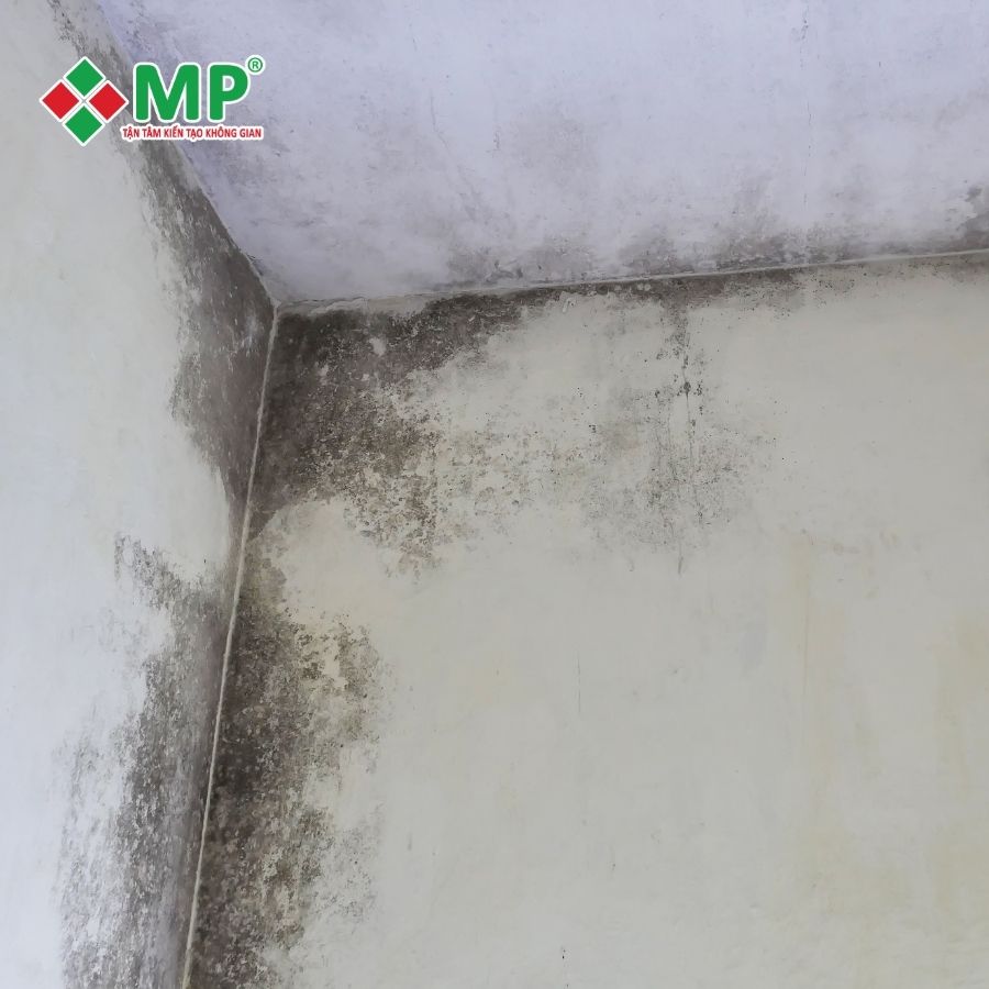 Nhà phố cũ xuống cấp do thấm ẩm, mưa lớn và hệ thống thoát nước